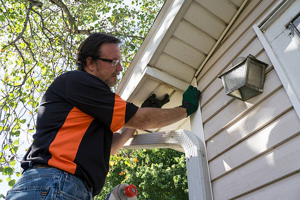 Best Storm Damage Siding Repair  in Westphalia, MD